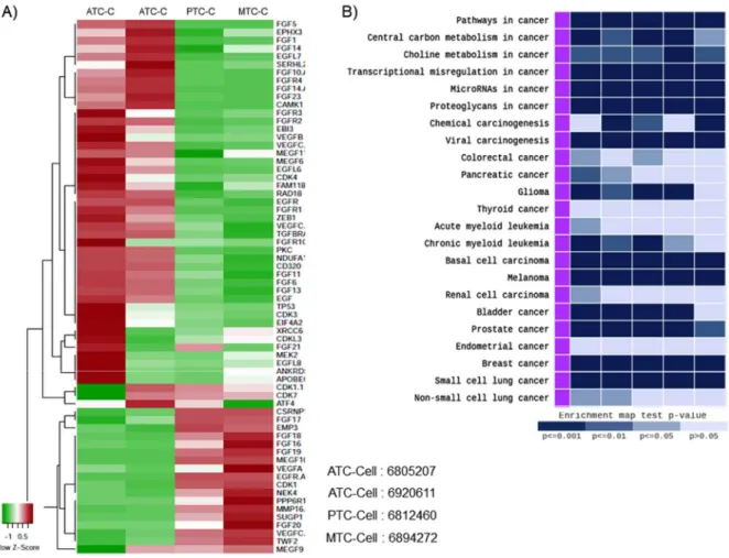 Figure 10. A, Gene expression profiles measured by microarrays. B, Gene expression pattern of the  cancer subtype