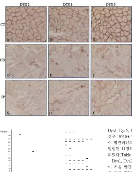 Figure 3. The distribution of exon deletions by multiplex PCR 
