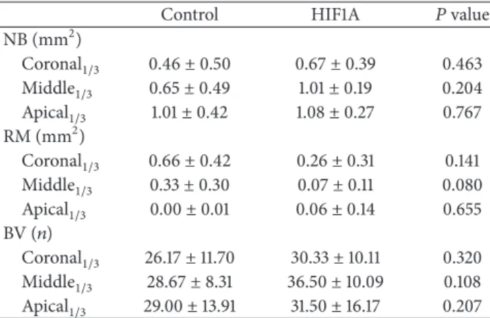 Table 3: Histomorphometric data of the three regions of interest (ROIs) within the socket.