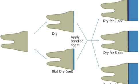 Table 2 shows the microtensile bond strength results.  Three-way ANOVA revealed significant differences in the  ef-fects of materials (F = 39.7, p &lt; 0.05), dentin wetness  be-fore the adhesive agent application (F = 8.8, p &lt; 0.05) and  air drying tim