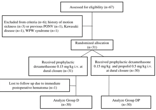 Figure 1. F low chart to track participants through randomized trial.