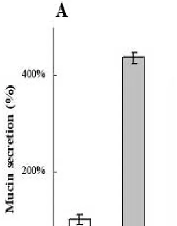 Fig.  7  Effect  of  caffeine  on  mucin  secretion  in  NHMEE  cells.  Caffeine suppressed the UTP-induced mucin secretion in NHMEE cells  in  a  dose-  dependent  manner.(A)  More  than  10mM  of  caffeine  also  suppressed the constitutional mucin secre