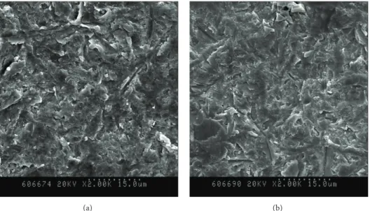 Figure 2: SEM of the surface of the specimens after air-abrasion with 3.5-bar pressure: (a) Ce-TZP/Al 2 O 3 block; (b) Y-TZP block.