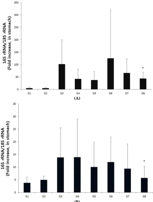 Figure 3. Effect of H-002119-00-001 on the qPCR score in gastric tissue. (A) Two-week treatment with  H-002119-00-001, * Significantly different from Group III (p < 0.05)