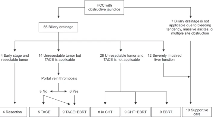 Fig. 1. Treatment scheme according to the clinical characteristics of the patients.