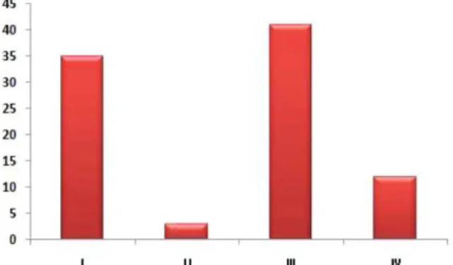 Fig. 12. Flipper.