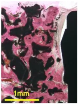 Figure 10A                                            Figure 10B 