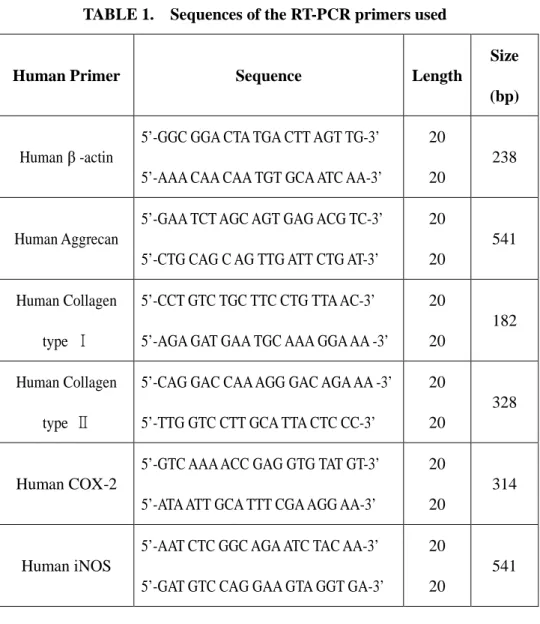 TABLE 1.    Sequences of the RT-PCR primers used 