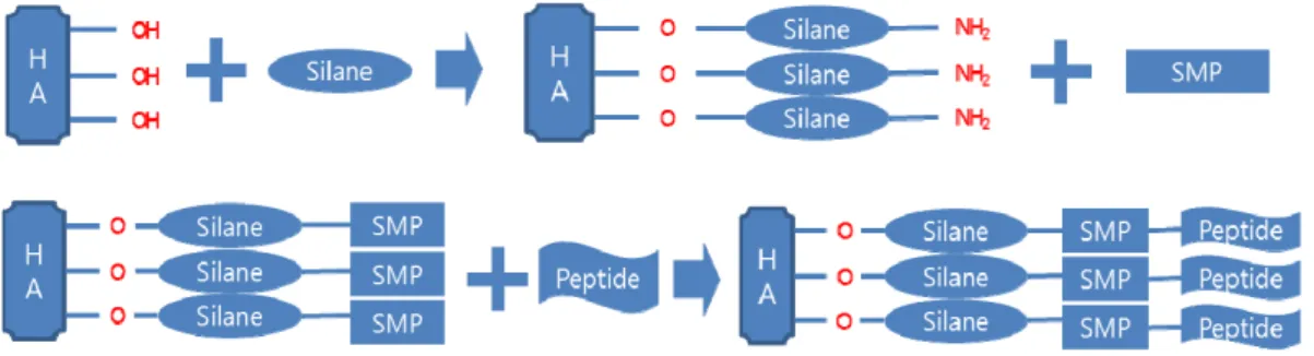 Fig. 2. Schematic diagram of surface coating process of BCP   