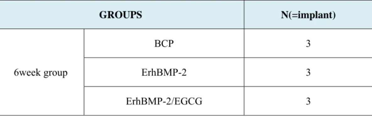 Table 4. Number of implants where a membrane was exposed by group 