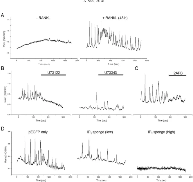Fig. 2.  Effect  of  PLC  and  IP3  inhibition on RANKL-induced [Ca 2＋ ]