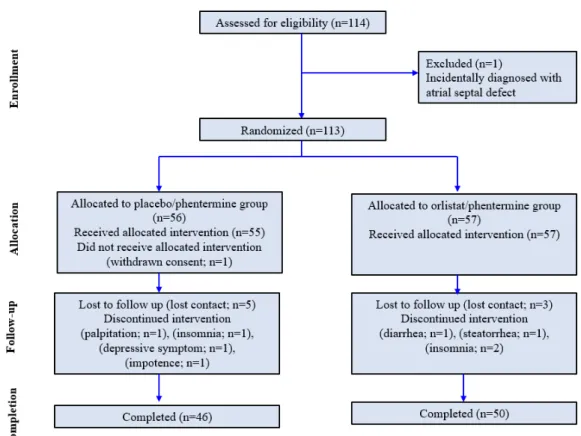 Figure 1. Flow chart of study cohort enrollment, allocation, follow-up and completion 