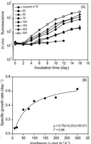 Fig.  5.  Growth  curve  (A)  and  specific  growth  rate  (B)  of  Alexandrium  affine as  function  of  light  intensities