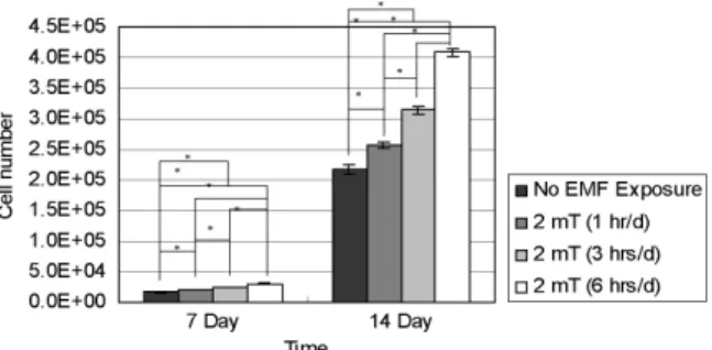 Fig. 4 reports the proliferation of RPMI 7666 cells (n = 4). After 7 and 14 days of incubation, the 3 hrs/d EMF-treated group showed statistically higher cell numbers relative to the other groups.
