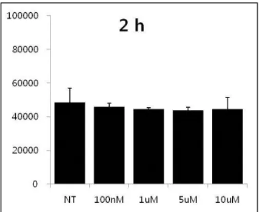 Fig.  9.  The  effect  of  transduced  pHis/TAT-vimentin  fusion  on  NO  production. 