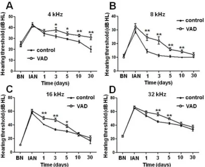 Figure  9.  Changes  in  hearing  thresholds  in  pigmented  mice  at  different 