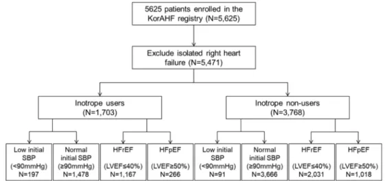 Figure 1. Flowchart of the Korean Acute Heart Failure (KorAHF) registry. Analysis was performed to evaluate the effect of inotropes in acute heart failure patients