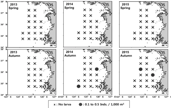 Fig.  4.  Distribution  of  Todarodes  pacificus  paralarvae  in  spring  (upper)  and  autumn  (lower)  in  the  sampling  area,  2013 - 2015