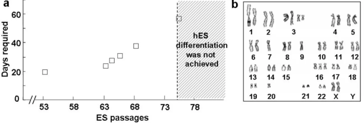 Figure 2.  Loss of differentiation potential and chromosomal anomaly of hES cells  after long-term culture