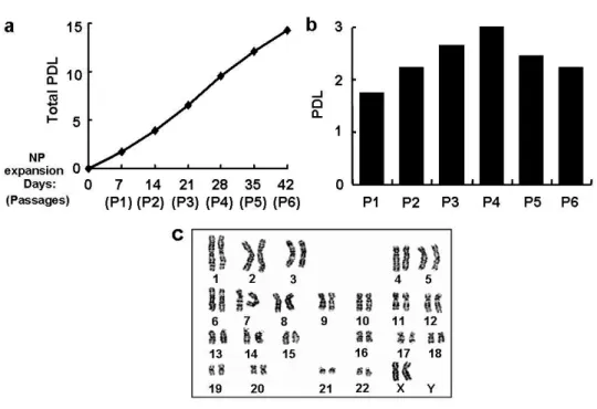 Figure 3. In vitro expansion of hES-derived NP cells. (a) Cumulative total population  doubling level (PDL)