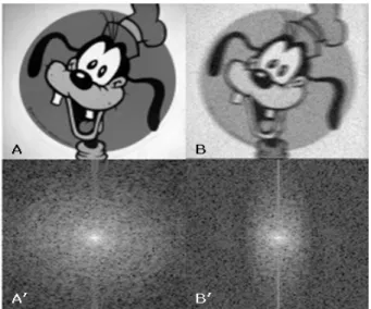 Fig. 4. The images is acquired using capillary tube without motion. (A) Static image (B) Summed dynamic image (C) X-profile  gaussian curve of static image (D) X-profile gaussian curve of summed dynamic image (E) Y-profile gaussian curve of static image  (