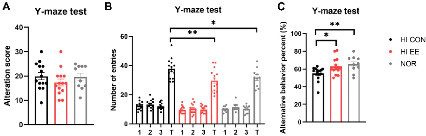 Figure  3C).  This  result  indicates  that  HI  EE  mice  can  retain  fine  working  short-term  memory after long-term exposure to EE