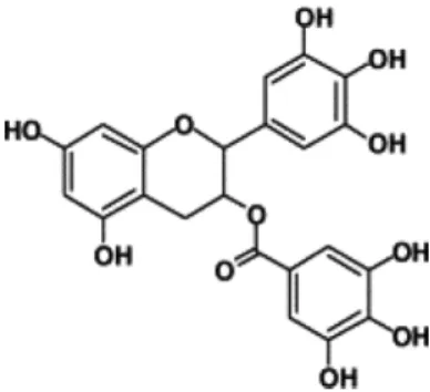Fig. 1. Chemical structure of EGCG.