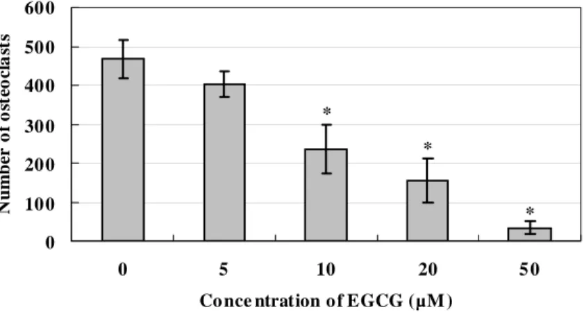Figure  2.  Inhibitory  effect  of  EGCG  on  the  survival  of  RAW  264.7  cell-derived  osteoclasts