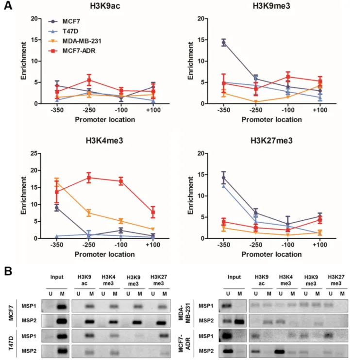 Figure 5: Histone modification and associated-DNA methylation patterns of LY6K.  A. ChIP qPCR was performed using the  four primer sets listed in Supplementary Table S1 in MCF7, T47D, MCF7-ADR and MDA-MB-231 cell lines