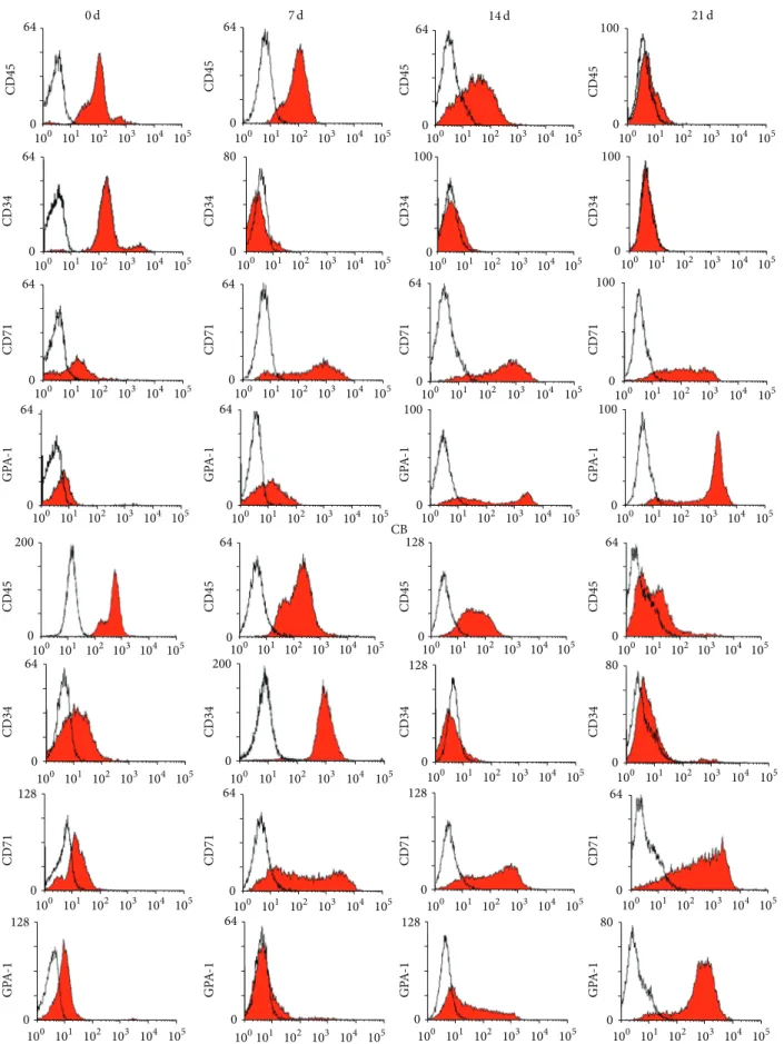 Figure 3: Phenotypic markers in erythrocytes differentiated from mPB- and CB-derived CD34+ cells