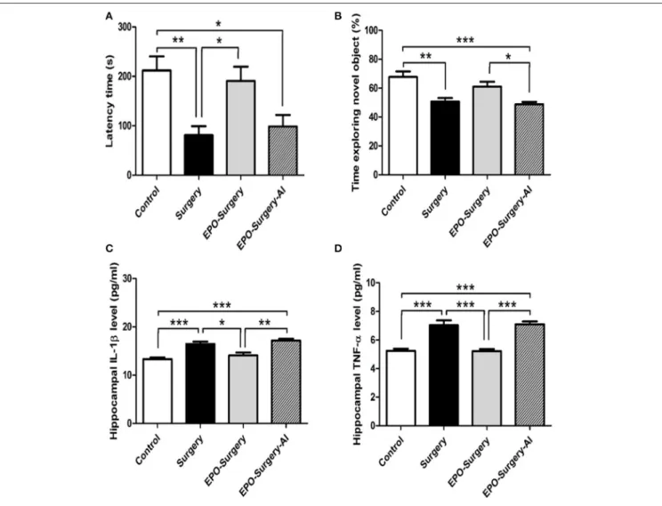 FIGURE 8 | Neurobehavioral functional assessments and hippocampal pro-inflammatory cytokine expression after arginase inhibitor administration