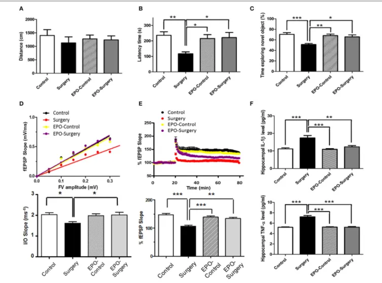 FIGURE 1 | Assessments of Neurobehavioral function and hippocampal synaptic function 48 h following abdominal surgery
