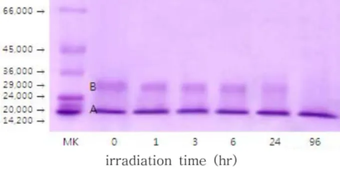 Fig. 6. The effect of lenses on the denaturation of SOD induced by UV-B.