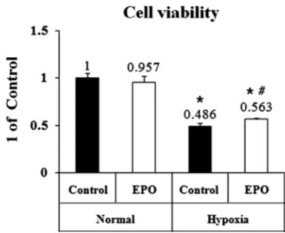 Fig.  1.  EPO Increased Cell Viability under Hypoxia