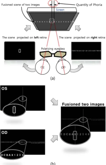 Fig. 3. (a) Principle of newly designed phoria test chart on 3D Display. (b) Perceived view of subjects.