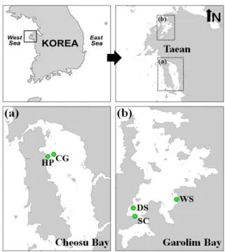 Fig.  1.  Sampling  sites  in  Cheonsu  (a)  and  Garolim  (b)  Bays. 