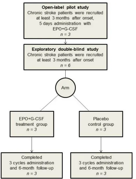 Figure 1. Flow of participants through the study. For a pilot study, three patients with chronic stroke 
