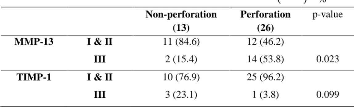 Table  8.  Statistical  analysis  of  operation  findings  and  MMP-13  &amp;  TIMP-1  expression                                                                                                    (        )    %  Non-perforation    (13)  Perforation (26) 