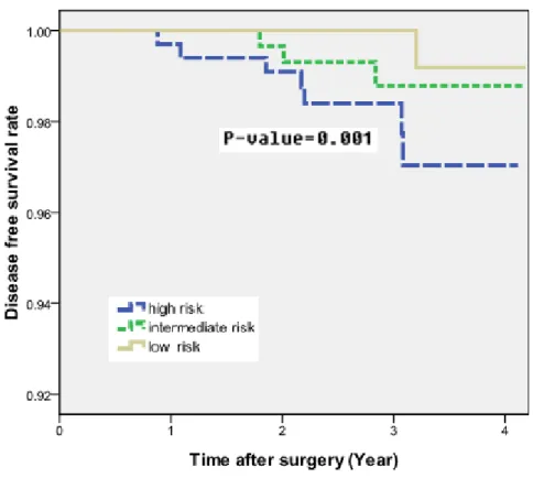 Figure 5. Comparison of  Kaplan-Meier DFS curve of patients stratified  into three risk groups depending on their total number of points   