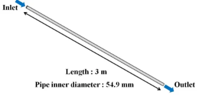 Fig.  1.  Schematic  of  the  horizontal  pipe.