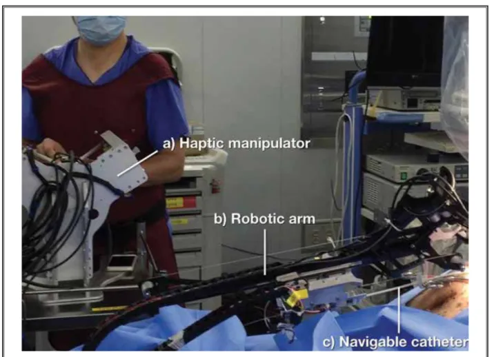 Fig. 1. Animal experiment using the robotic epiduroscope system. A physician is shown operating a) the haptic manipulator which 