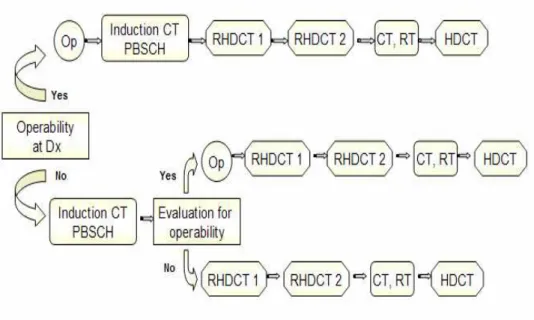 Figure 1.    Planned schema of treatment 