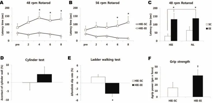 Figure 1. Environmental enrichment improved neurobehavioral function. (A, B) Rotarod tests were performed at 2-week intervals