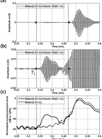 Fig.  4.  (a)  Received  signals,  (b)  the  same  with  an  expanded  vertical  scale