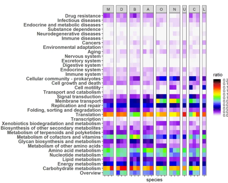 Fig 2. Abundance of functional contents encoded in the genomes of major nine genera in the mouse gut