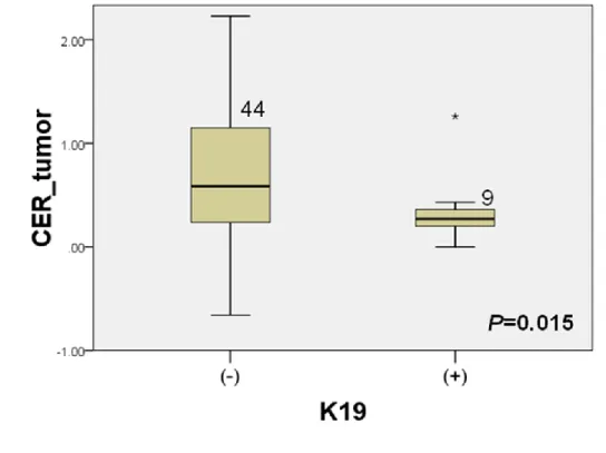 Figure 6-(c) The relationship of CER of HCC and immunoreactivity to K19 