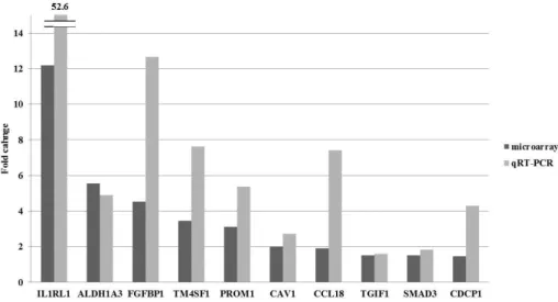 Figure  5.  Validation  of  microarray-based  gene  expression  by  quantitative  real  time PCR
