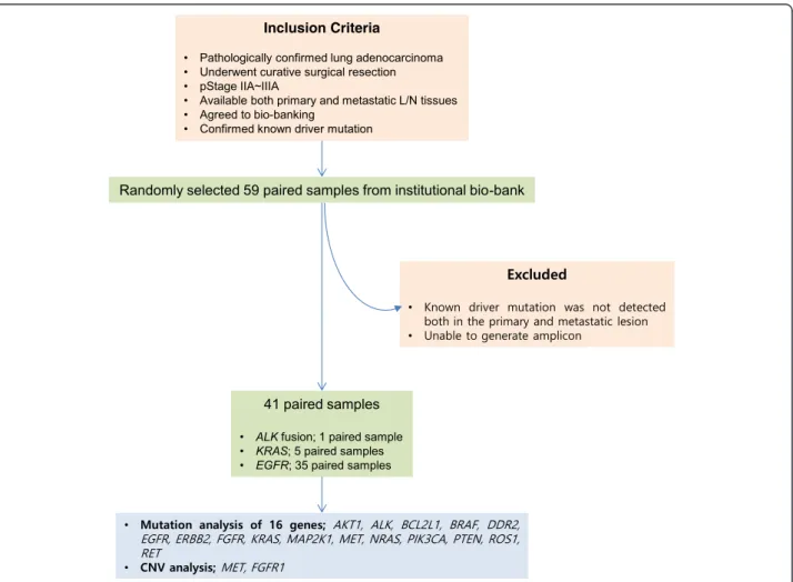 Fig. 1 Study diagram. A total of 59 paired primary lung adenocarcinoma and corresponding lymph node metastasis with confirmed driver mutations were randomly selected from the institutional bio-bank