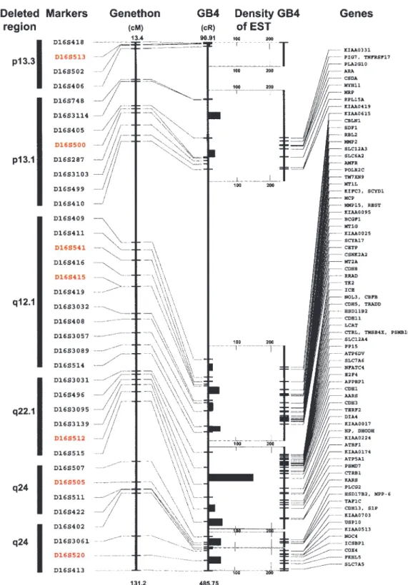 Figure 3 Summary of physical map and sequence database analysis spanning the deleted regions of chromosome 16 performed as described in Material and methods