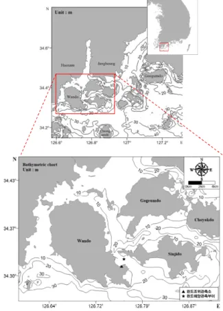 Fig.  1.  Bathymetric  maps  of  study  area.  Upper  map  is  wide  area  and  lower  map  is  small  area.
